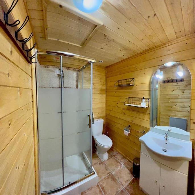 Chalet 6B Dans Les Pyrenees Proche D'Andorre L'Hospitalet-pres-l'Andorre Luaran gambar